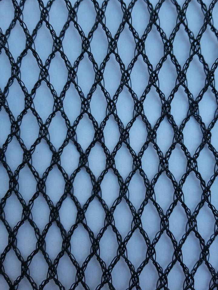 Rectangular Net